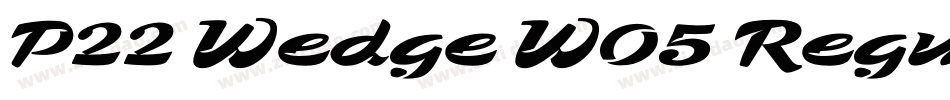 P22 Wedge W05 Regula字体转换
